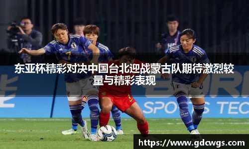 南宫NG28