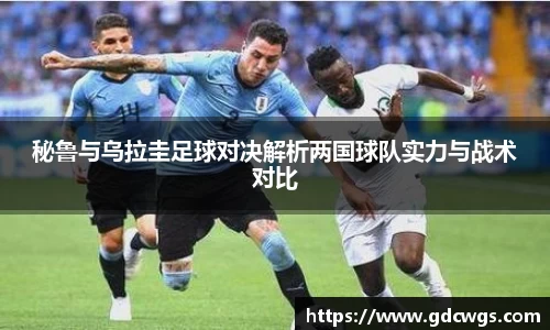 南宫NG28